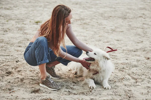 砂の上だ ブロンド女の子とともに彼女の可愛いです白い犬持っていますA素晴らしい時間を過ごすオンザビーチ — ストック写真