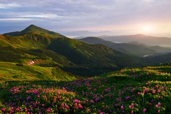 Paisaje Verano Majestuosas Montañas Cárpatas Impresionante Vista — Foto de Stock