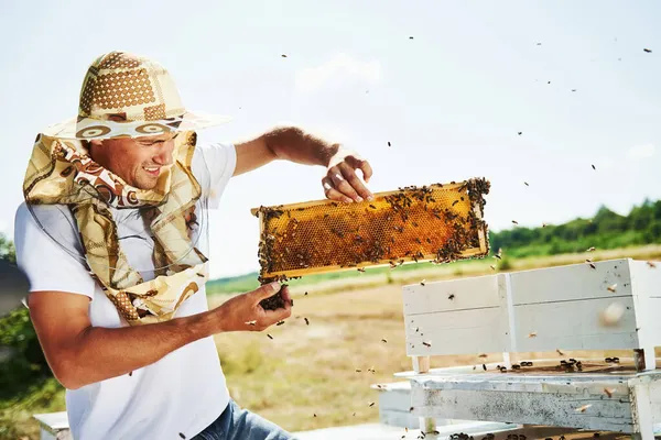 Musíme Být Opatrní Včelař Pracuje Plástve Plnými Včel Venku Slunečného — Stock fotografie