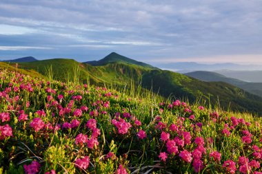 Uçurumun. Majestic Carpathian dağları. Güzel manzara. Nefes kesici manzara.