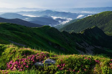 Geniş bir mesafe. Majestic Carpathian dağları. Güzel manzara. Nefes kesici manzara.