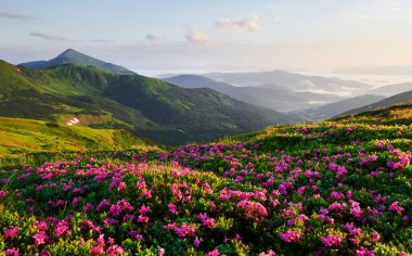 Kırsal kesimde. Majestic Carpathian dağları. Güzel manzara. Nefes kesici manzara.