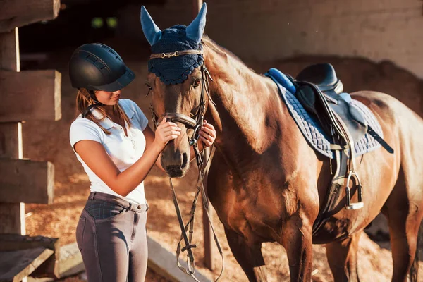 Tier Ist Blauer Kleidung Reiterin Uniform Und Schwarzem Schutzhelm Mit — Stockfoto