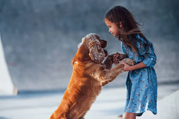 Kisállat Hátsó Lábon Áll Aranyos Kislány Sétáljon Egyet Kutyájával Szabadban — Stock Fotó