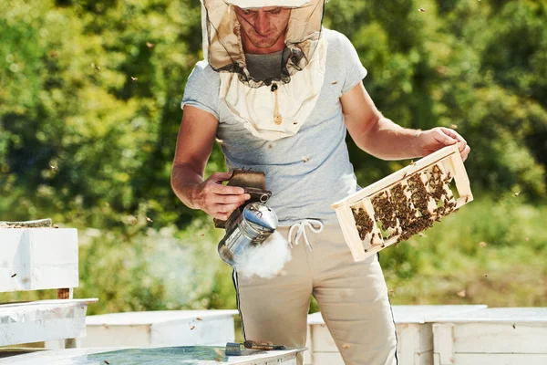 Zelené Stromy Námi Včelař Pracuje Plástve Plnými Včel Venku Slunečného — Stock fotografie