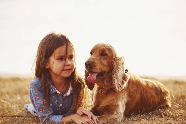 Тепло Тихо Милая Маленькая Девочка Гуляет Собакой Свежем Воздухе Солнечный — стоковое фото