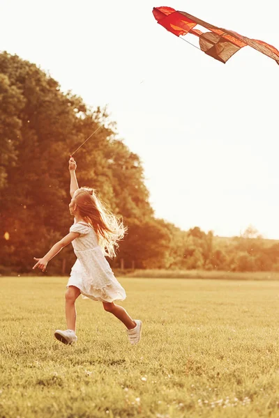 縦の写真 白い服の幸せな女の子は フィールド内のカイトと楽しいことがあります 美しい自然 — ストック写真