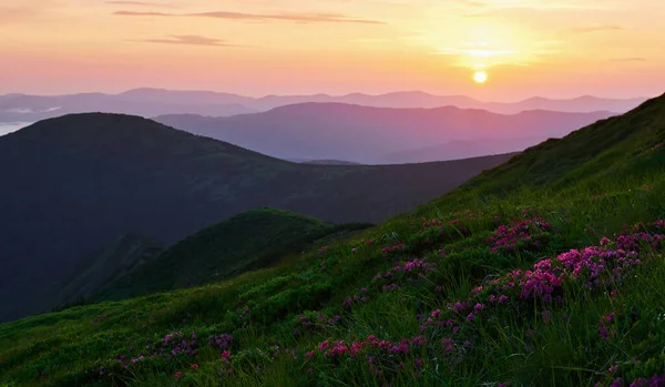 Sommer Majestätische Karpaten Schöne Landschaft Atemberaubende Aussicht — Stockfoto