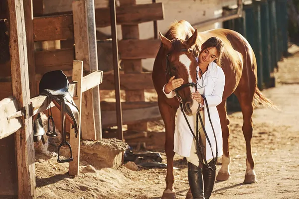 Όμορφο Φως Θηλυκός Κτηνίατρος Που Εξετάζει Άλογα Εξωτερικούς Χώρους Στην — Φωτογραφία Αρχείου