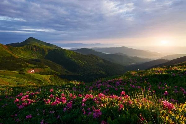 Sonnenuntergang Horizont Majestätische Karpaten Schöne Landschaft Atemberaubende Aussicht — Stockfoto