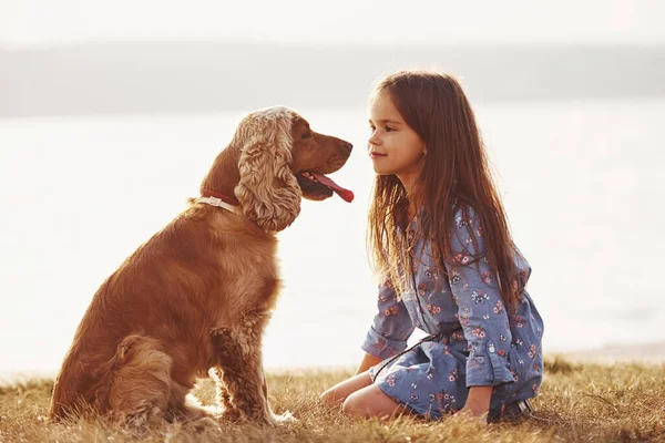 Смотрели Друг Друга Милая Маленькая Девочка Гуляет Собакой Свежем Воздухе — стоковое фото
