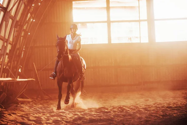 Majestueus Beeld Van Paard Silhouet Met Ruiter Zonsondergang Achtergrond Het — Stockfoto