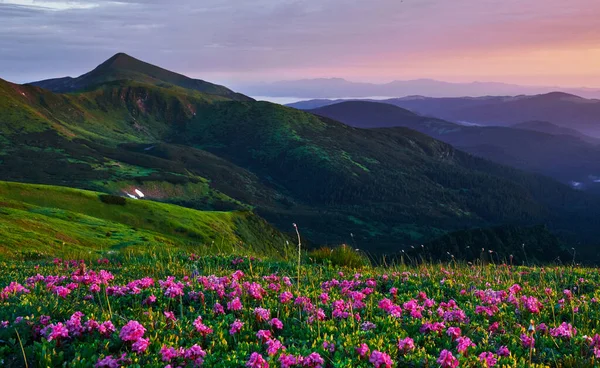 Fondo Escénico Majestuosas Montañas Cárpatas Hermoso Paisaje Impresionante Vista — Foto de Stock