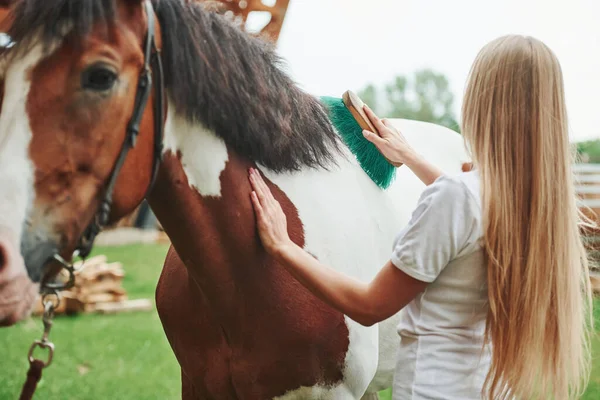 Campo Seco Mujer Feliz Con Caballo Rancho Durante Día —  Fotos de Stock