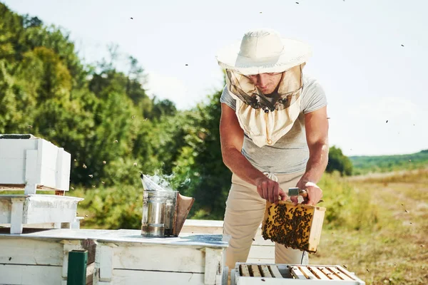 很多蜂窝 在阳光明媚的日子 养蜂人在户外与蜂窝一起工作 — 图库照片