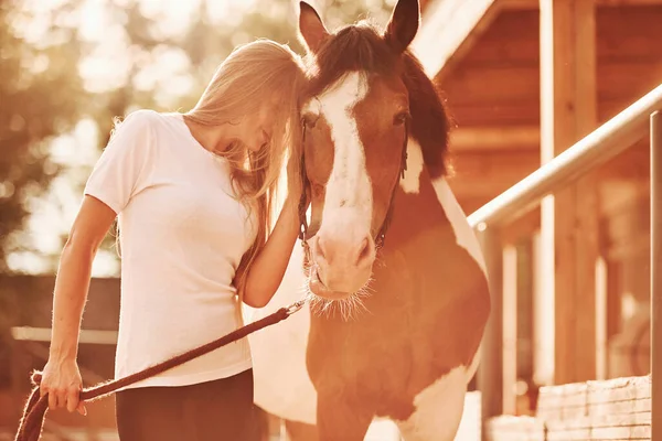 Summer Outdoors Scene Happy Woman Her Horse Ranch Daytime — Stock Photo, Image