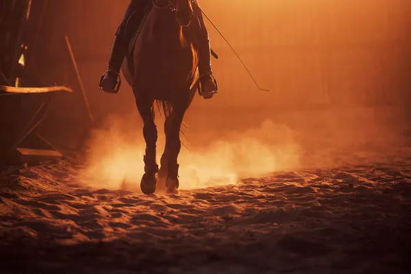 Majestátní Obraz Siluety Koně Jezdcem Pozadí Západu Slunce — Stock fotografie