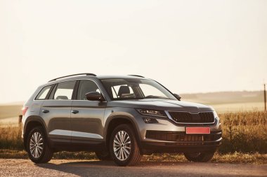 Gümüş renkli otomobil. Gündüz vakti, kırsal kesimde yan yola park edilmiş modern yeni bir araba..