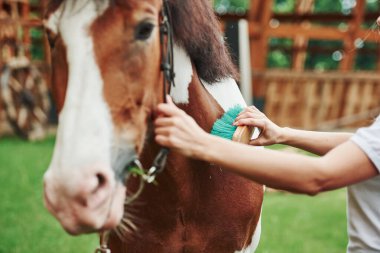 Hayvan derisini temizlemek için fırça kullanmak. Gündüz vakti atıyla çiftlikte mutlu bir kadın.