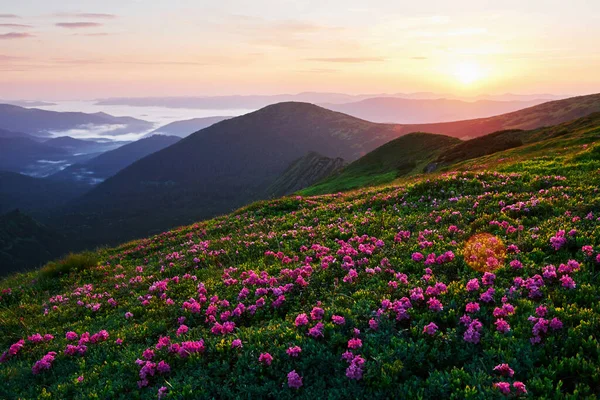 Warm Weather Majestic Carpathian Mountains Beautiful Landscape Breathtaking View — Stock Photo, Image