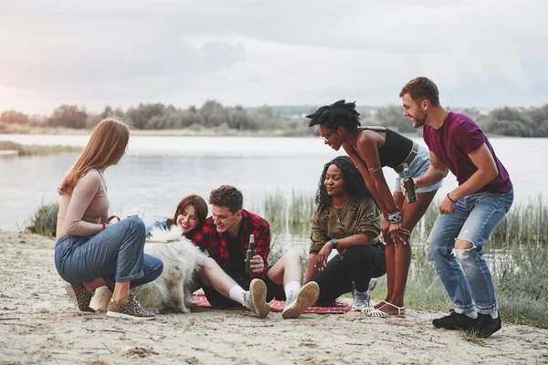 Pies Jest Centrum Uwagi Grupa Ludzi Organizuje Piknik Plaży Przyjaciele — Zdjęcie stockowe