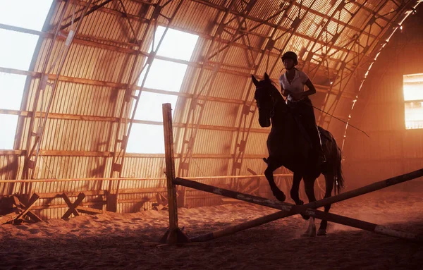 壮观的马的轮廓与骑手在日落背景 骑在马背上的女骑师在农场的飞机库里骑马 — 图库照片