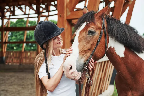 Acariciando Animal Mujer Feliz Con Caballo Rancho Durante Día —  Fotos de Stock