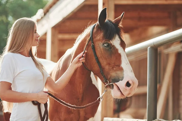 Ruhiges Tier Glückliche Frau Mit Ihrem Pferd Auf Der Ranch — Stockfoto