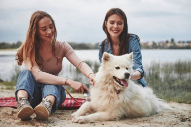 İki bayan arkadaş kumsalda sevimli bir köpekle harika vakit geçiriyorlar..