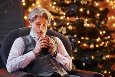 Gri saçlı ve sakallı son sınıf öğrencisinin portresi süslü Noel odasında bir bardak içkiyle duruyor..