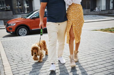 Köpekleri arabanın yanında gezen sevimli çiftin parçacık manzarası..