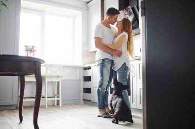 Mutfakta sevimli köpekleri olan mutlu, genç ve modern bir çift..