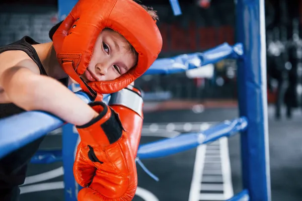 Tired Boy Protective Equipment Leaning Knots Boxing Ring — Stock Photo, Image