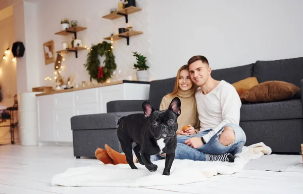 Feliz Jovem Casal Moderno Sentado Sofá Casa Com Seu Cão — Fotografia de Stock