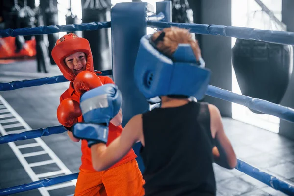 Dois Meninos Equipamentos Proteção Têm Sparring Luta Ringue Boxe — Fotografia de Stock