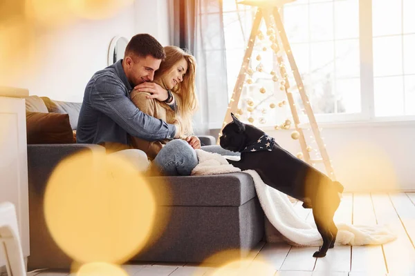 Feliz Jovem Casal Moderno Sentado Sofá Casa Com Árvore Natal — Fotografia de Stock