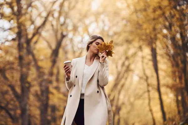 Divirtiéndose Con Hojas Retrato Joven Morena Que Encuentra Bosque Otoño — Foto de Stock