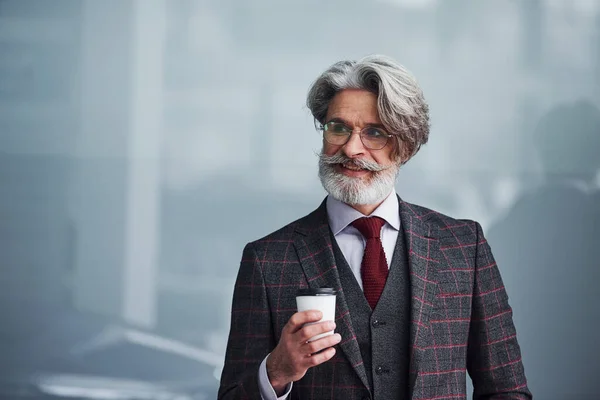 Senior Geschäftsmann Anzug Und Krawatte Mit Grauen Haaren Und Bart — Stockfoto