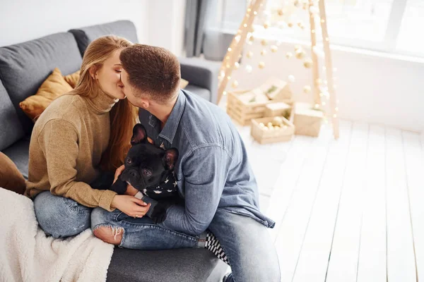 幸せな若いです現代的なカップル座っていますザソファに自宅でクリスマスツリーとともに彼らの可愛いです犬 — ストック写真