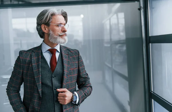 Starszy Biznesmen Garniturze Krawacie Siwymi Włosami Brodą Stojący Wewnątrz — Zdjęcie stockowe