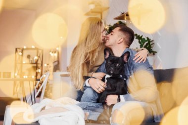 Mutlu, genç ve modern bir çift evdeki kanepede sevimli köpeğiyle oturuyor..