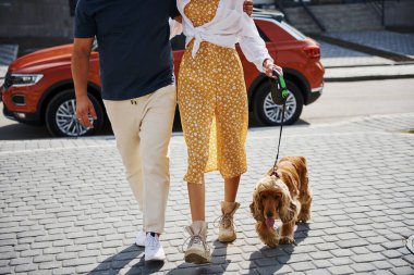 Köpekleri arabanın yanında gezen sevimli çiftin parçacık manzarası..