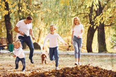 Neşeli genç aile birlikte bir sonbahar parkında yürüyüş yapıyor..