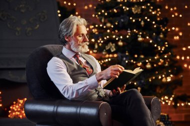 Süslü Noel odasında gri saçlı ve sakallı bir son sınıf öğrencisinin portresi..