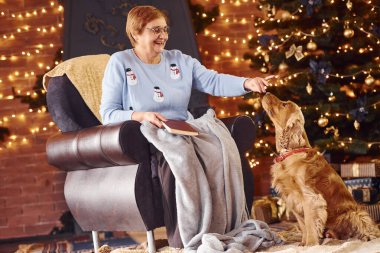 Noel süslemeli odada elinde kitapla ve köpekle büyükannesi..