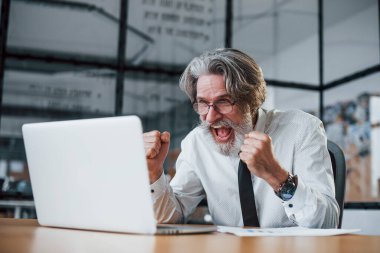 Gri saçlı ve sakallı olgun iş adamı ofiste dizüstü bilgisayara karşı..