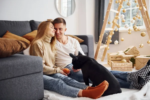 幸せな若いです現代的なカップル座っていますザソファに自宅で彼らの可愛いです犬 — ストック写真