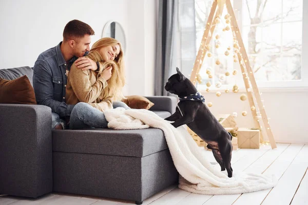 Feliz Jovem Casal Moderno Sentado Sofá Casa Com Árvore Natal — Fotografia de Stock