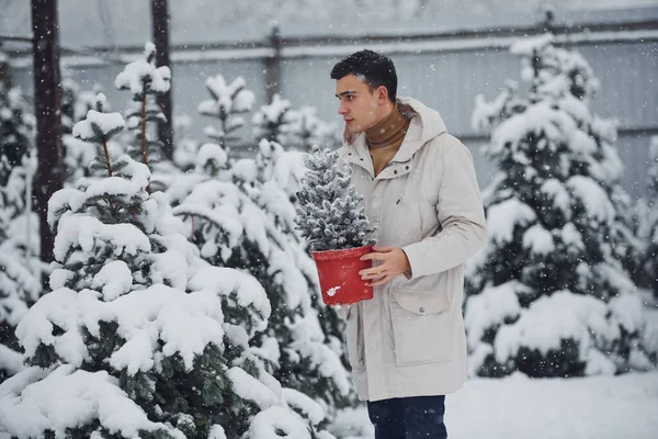 Bello Giovane Caldo Cappotto Con Vaso Rosso Con Abete All — Foto Stock