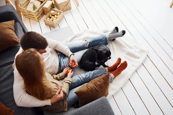 幸せな若いです現代的なカップル座っていますザソファに自宅で彼らの可愛いです犬 — ストック写真